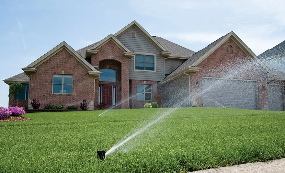 Affordable lawn mowing service in San Jose Ca, CA - Empire landscape Management