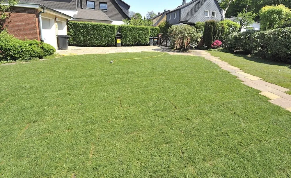 Top-rated lawn mowing service experts serving San Jose Ca, CA - Empire landscape Management
