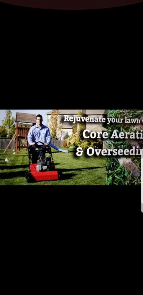 Expert yard maintenance for homes across San Jose Ca, CA - Empire landscape Management