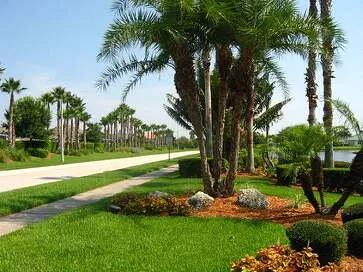 Top-rated landscape installation for year-round maintenance across San Jose Ca, CA - Empire landscape Management
