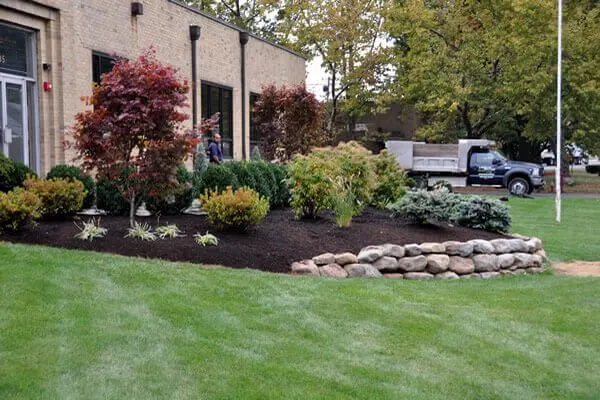 Affordable yard cleanup service for outdoor upgrades across San Jose Ca, CA - Empire landscape Management
