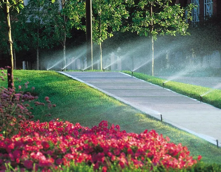 Professional lawn mowing service for residential properties in San Jose Ca, CA by Empire landscape Management