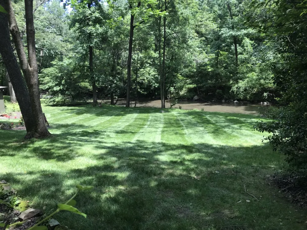 Top-rated landscape installation for year-round maintenance across Owings Mills, MD - Empire Landscapes