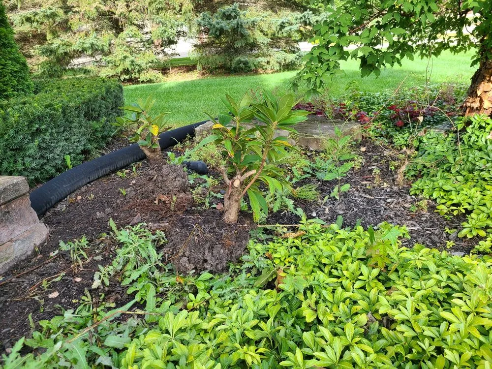 Local yard cleanup service for homes in Milford Charter Township, MI by Empire Landscaping & Leveling