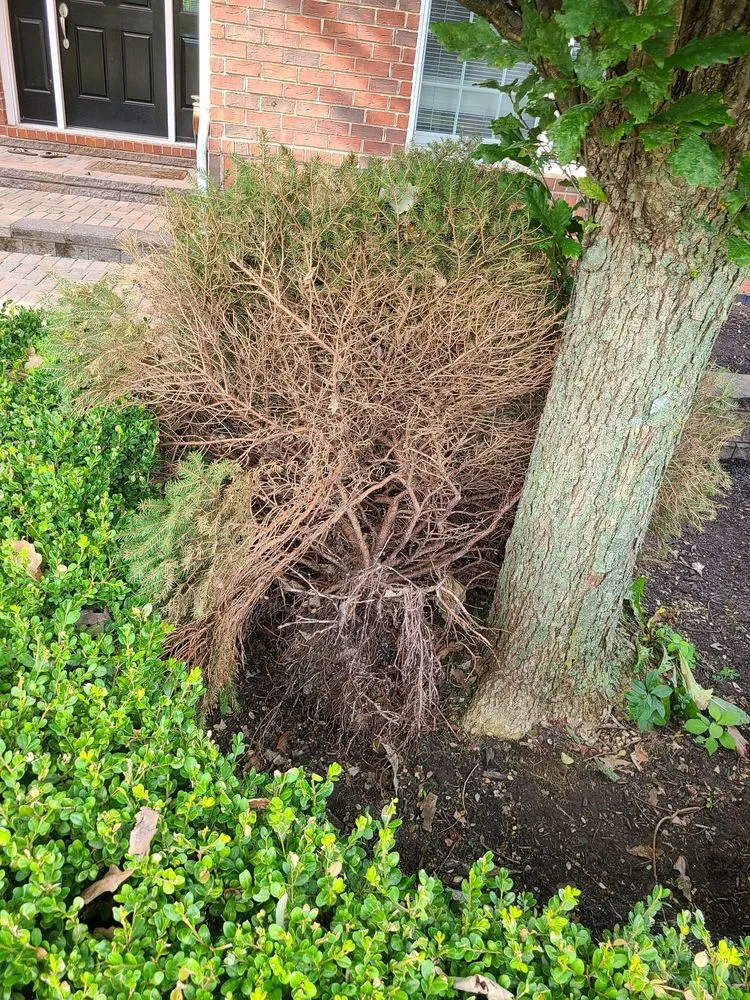 Expert outdoor landscaping near you across Milford Charter Township, MI - Empire Landscaping & Leveling