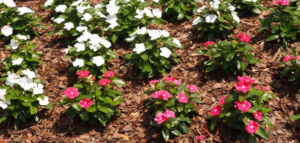 Local landscape installation near you across Union Grove, AL - Empire Landscaping Associates