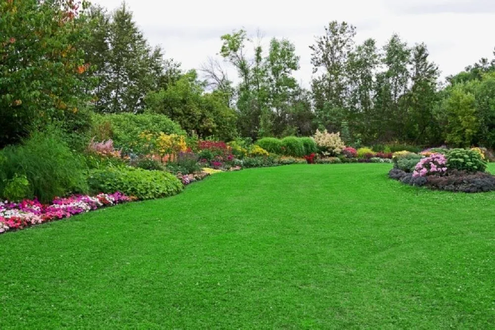 Top-rated landscape installation near you in Union Grove, AL by Empire Landscaping Associates