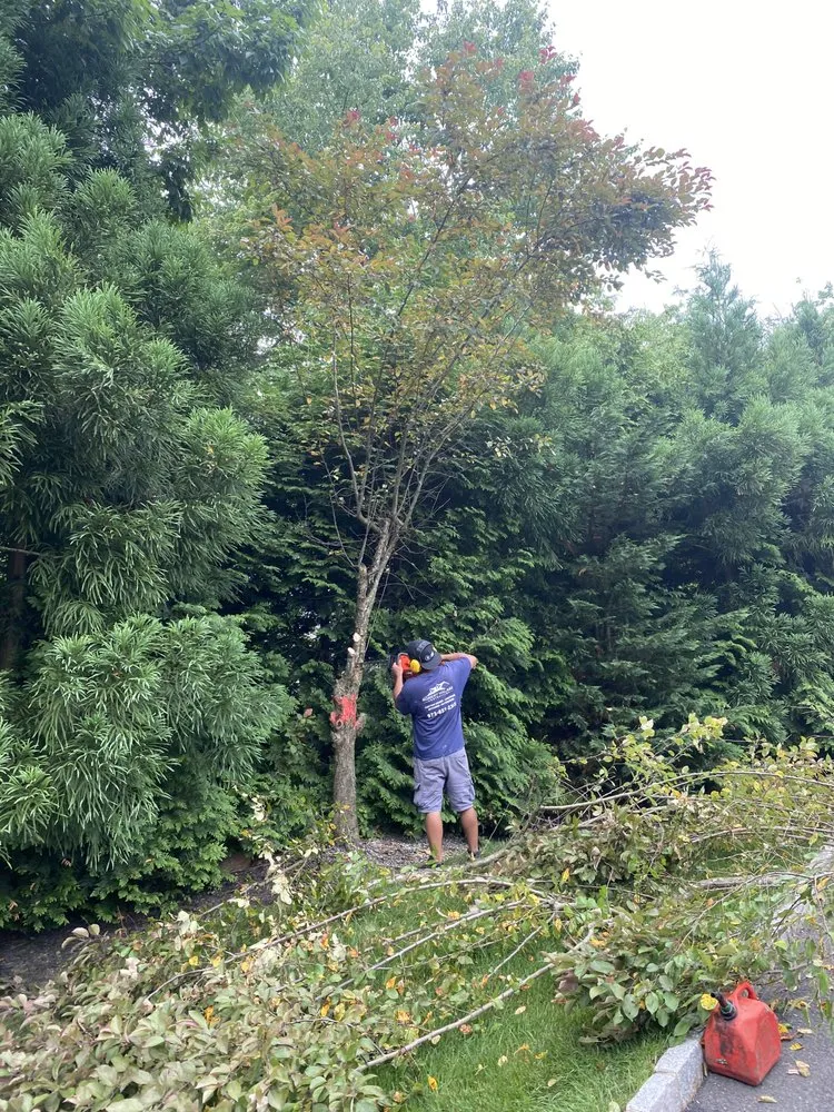 Trusted landscaping services experts serving East Hanover, NJ - Empire Landscaping