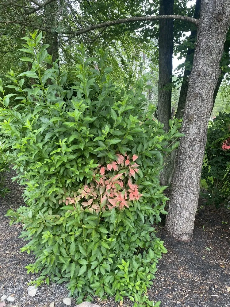 Expert garden landscaping for residential properties across East Hanover, NJ - Empire Landscaping