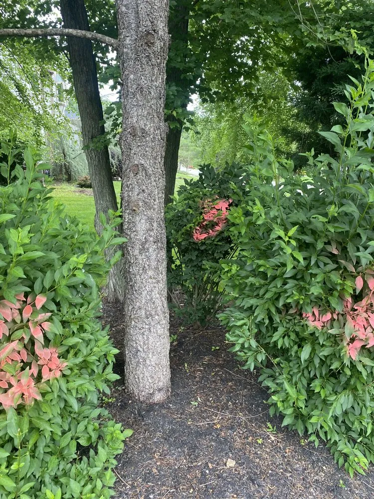 Professional yard maintenance in East Hanover, NJ - Empire Landscaping