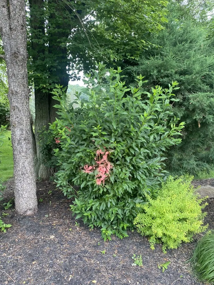 Reliable landscape installation for year-round maintenance in East Hanover, NJ by Empire Landscaping