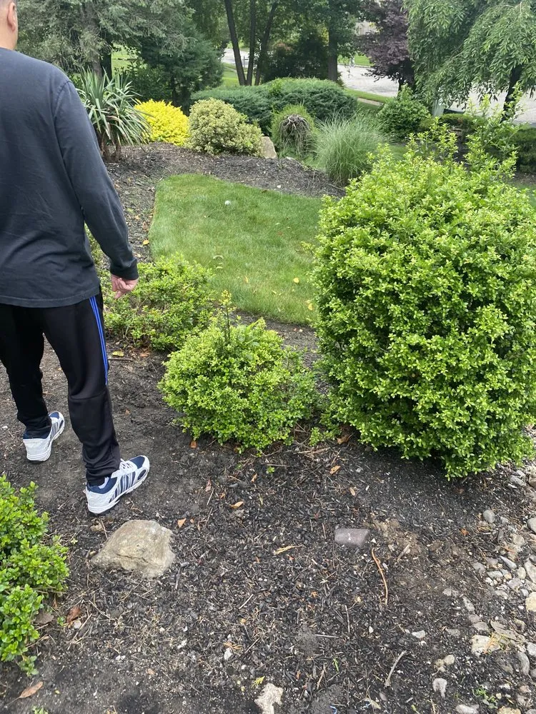 Top-rated yard maintenance in East Hanover, NJ by Empire Landscaping