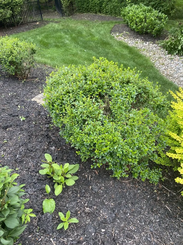 Top-rated yard cleanup service with custom design across East Hanover, NJ - Empire Landscaping