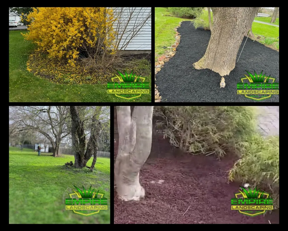 Expert yard maintenance for year-round maintenance across East Hanover, NJ - Empire Landscaping