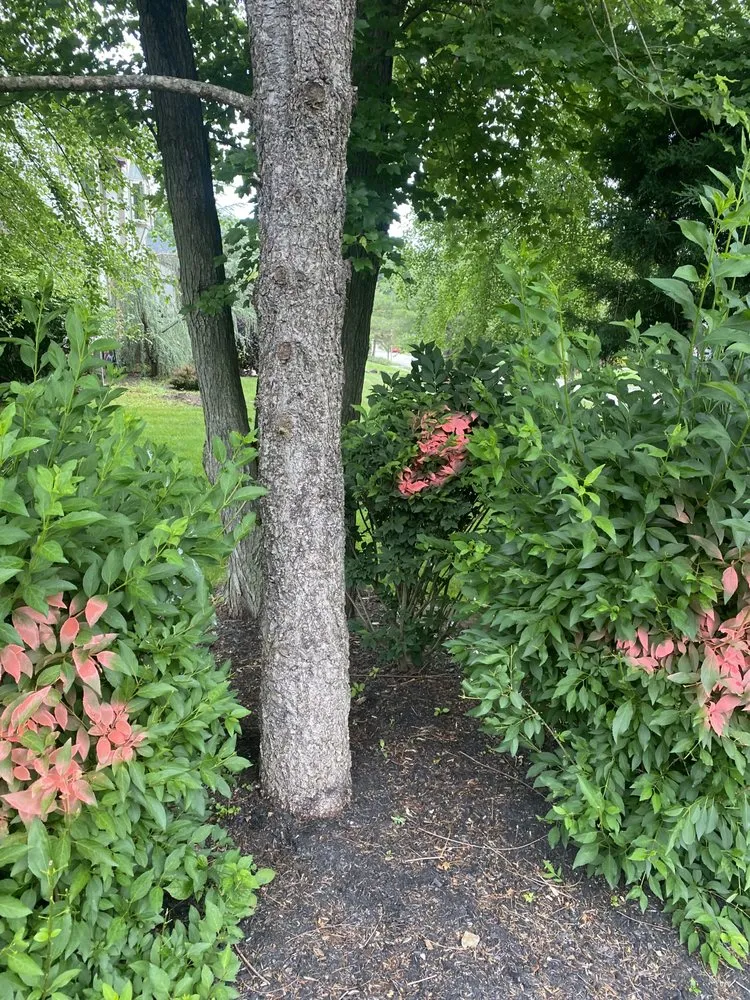 Affordable lawn mowing service in East Hanover, NJ - Empire Landscaping