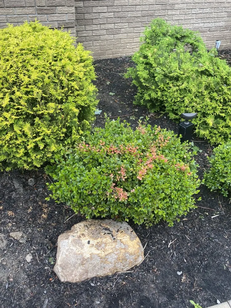 Top-rated lawn mowing service for year-round maintenance in East Hanover, NJ by Empire Landscaping