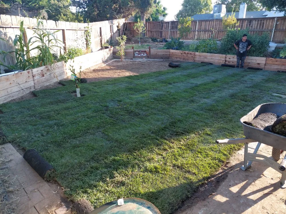 Affordable landscape installation in La Grange, CA - Empire Landscaping