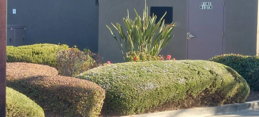 Top-rated garden landscaping in La Grange, CA by Empire Landscaping