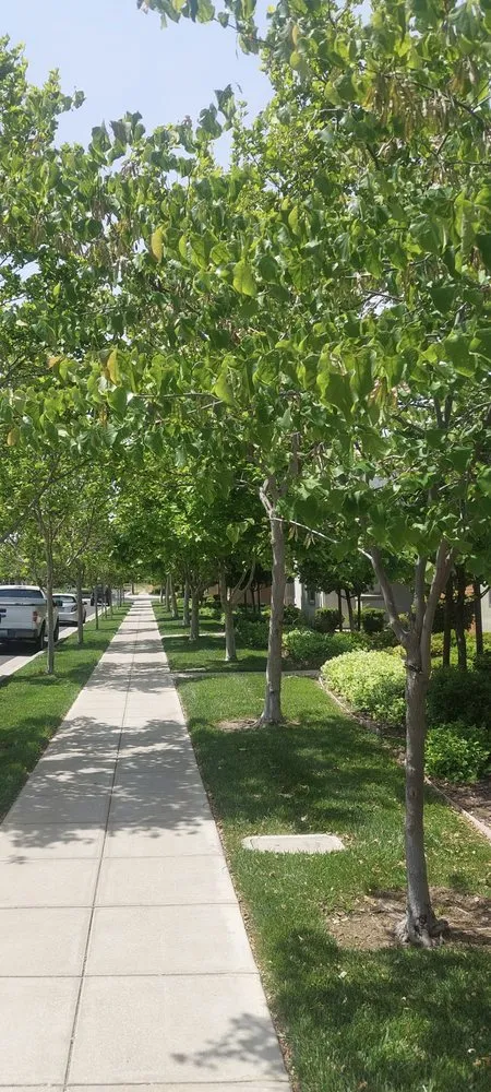 Trusted landscaping services in La Grange, CA by Empire Landscaping
