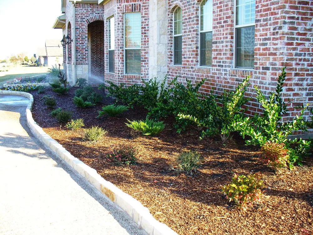 Professional lawn care service in Plano, TX - Empire Landscaping