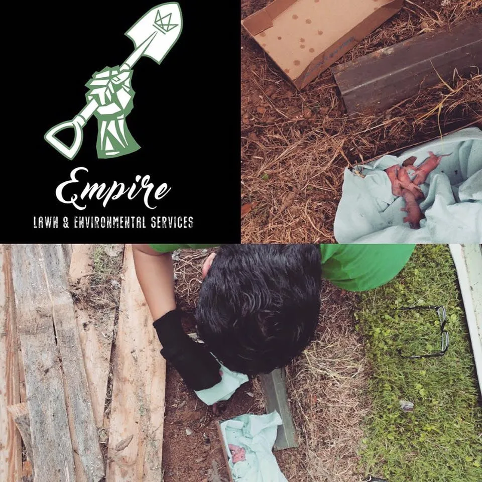 Reliable yard maintenance experts serving Cedar Park, TX - Empire Lawn & Environmental Services