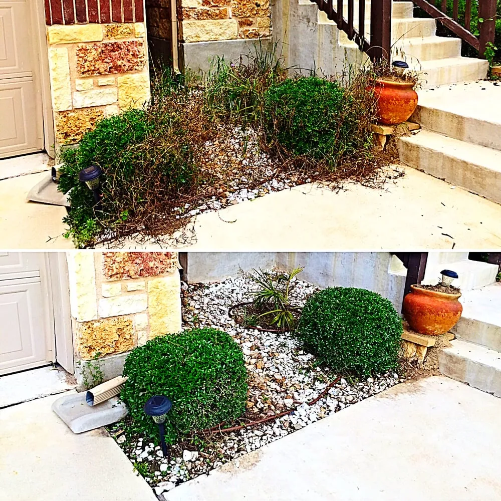 Top-rated landscaping services for year-round maintenance in Cedar Park, TX by Empire Lawn & Environmental Services