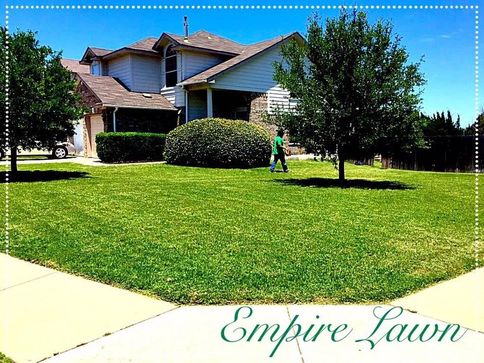 Professional yard maintenance for year-round maintenance in Cedar Park, TX by Empire Lawn & Environmental Services