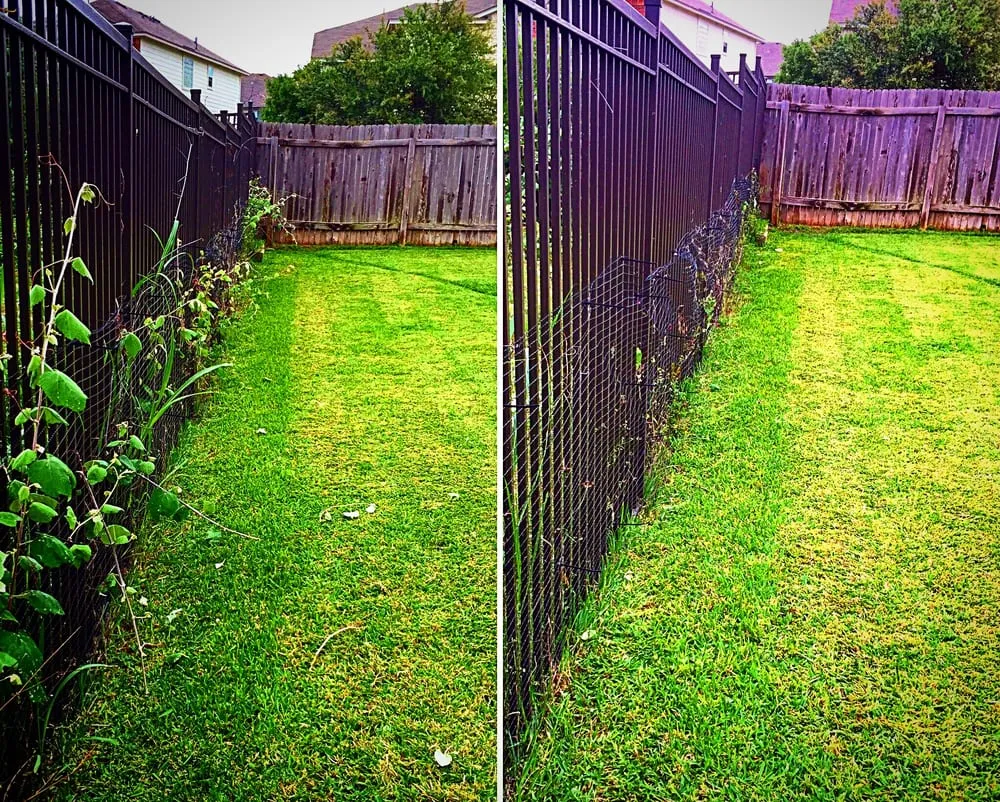 Top-rated yard cleanup service in Cedar Park, TX - Empire Lawn & Environmental Services