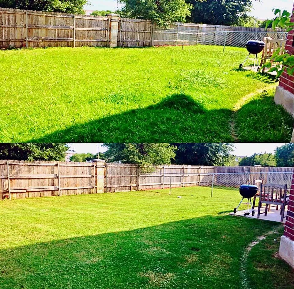 Expert yard maintenance in Cedar Park, TX - Empire Lawn & Environmental Services