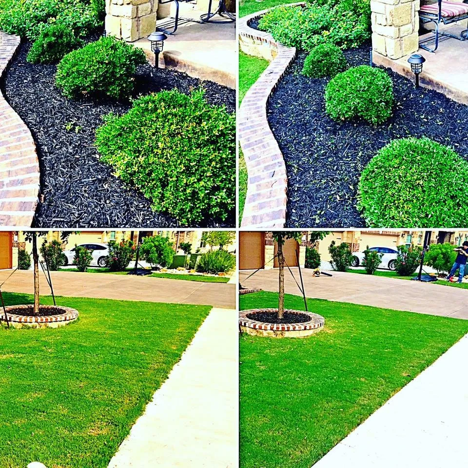 Affordable residential landscaping in Cedar Park, TX by Empire Lawn & Environmental Services