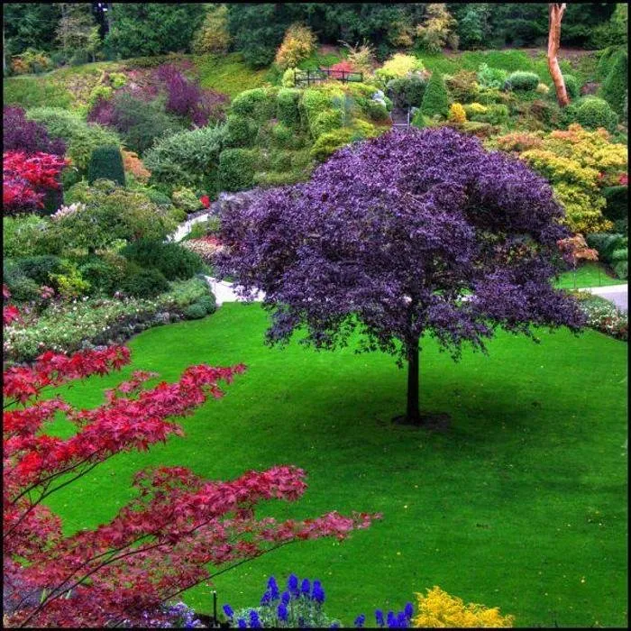 Reliable garden landscaping experts serving Vestal, NY - Empire Lawn & Landscape Development
