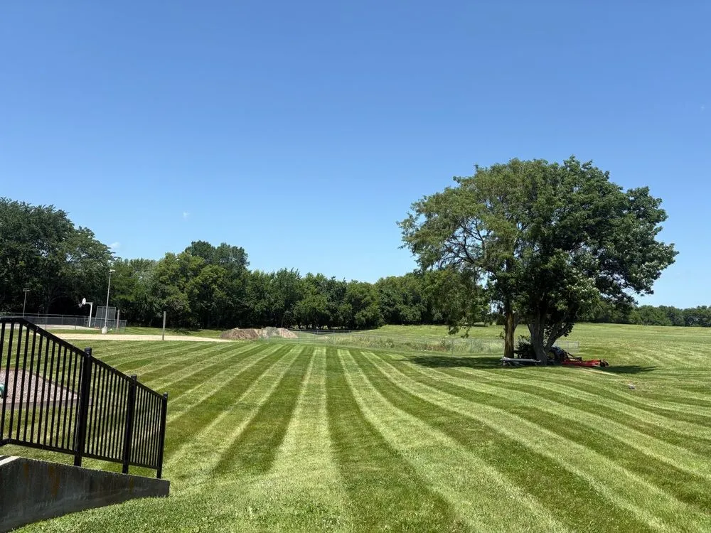Affordable yard cleanup service in Lee's Summit, MO by Empire Lawn and Landscaping