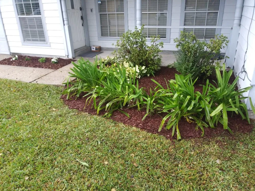 Trusted landscaping services for outdoor upgrades across Jefferson, LA - Empire Lawn Care & Tree Trimming