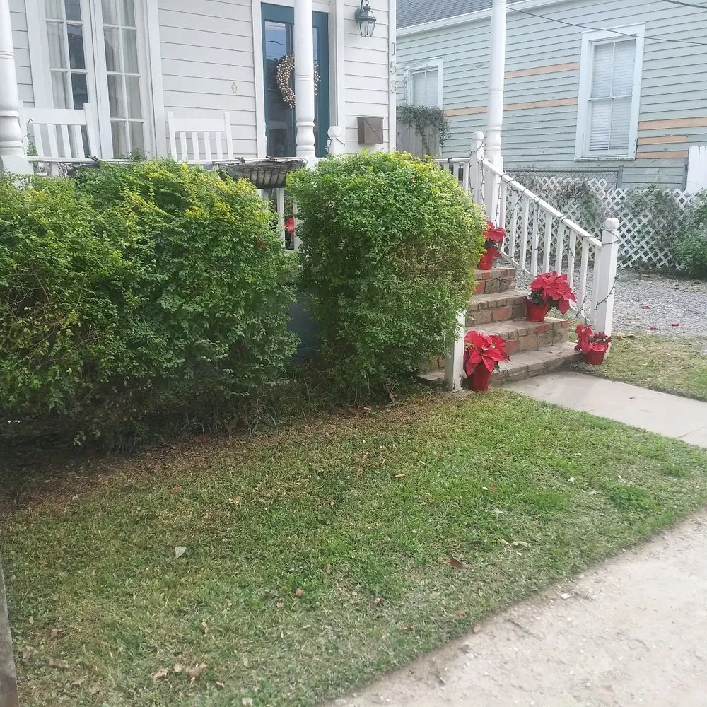 Professional landscape installation experts serving Jefferson, LA - Empire Lawn Care & Tree Trimming