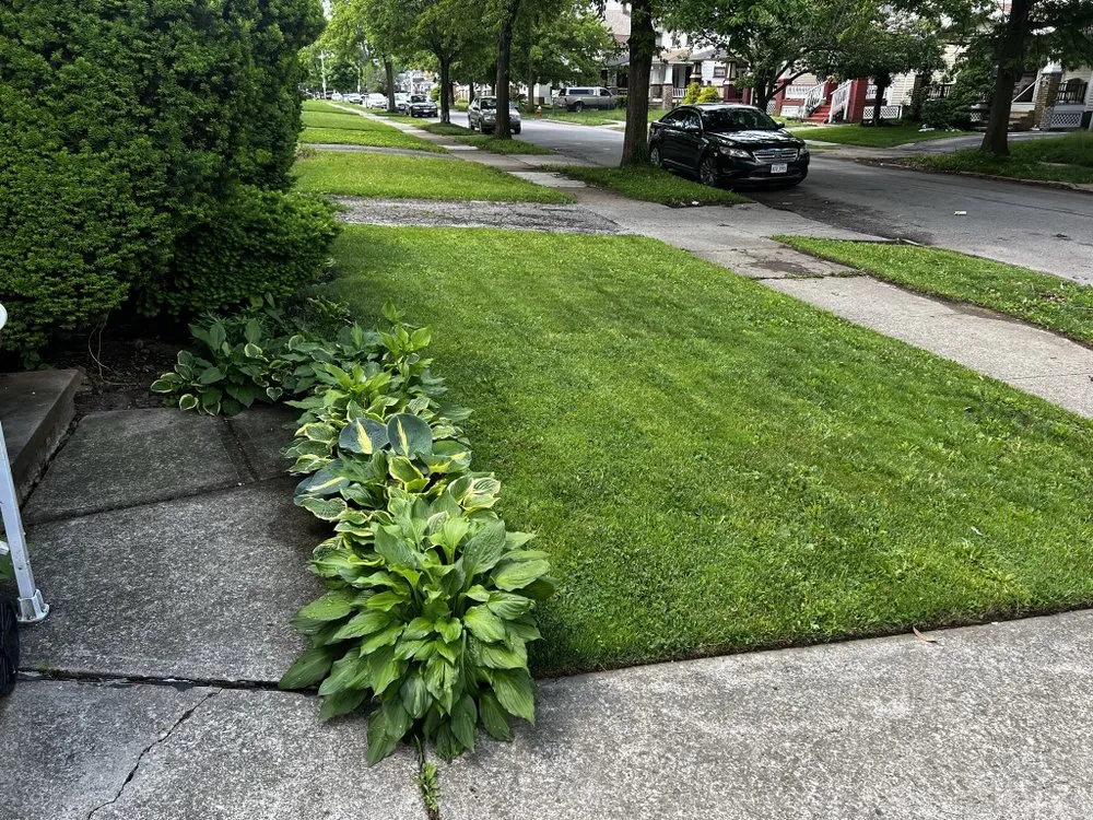 Professional residential landscaping in Cleveland, OH by EMPIRE Lawn Care and Enterprises