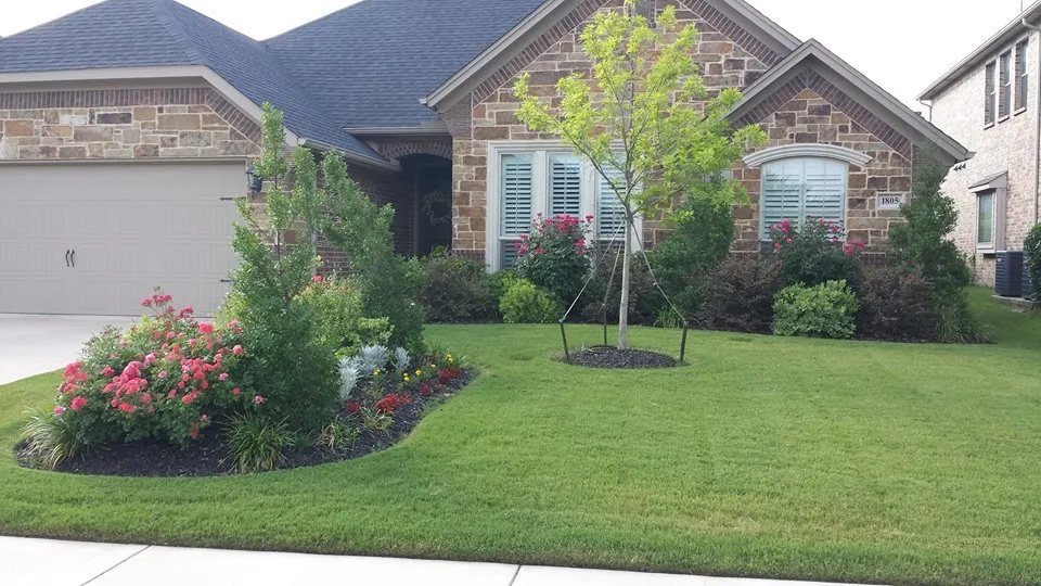 Affordable yard maintenance in Arlington, TX - Empire Lawn Care