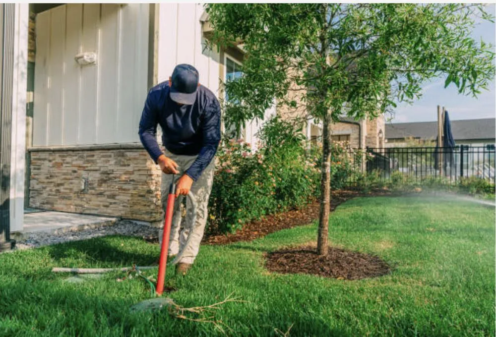 Expert residential landscaping for outdoor upgrades across Douglasville, GA - Empire Lawn Care