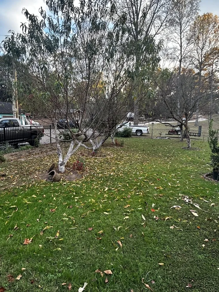 Trusted garden landscaping in Farragut, TN by Empire Lawn Care