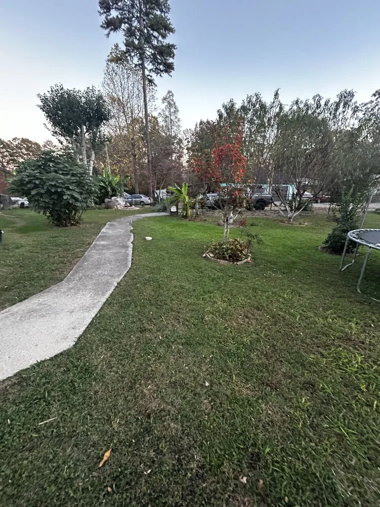 Local lawn care service in Farragut, TN by Empire Lawn Care