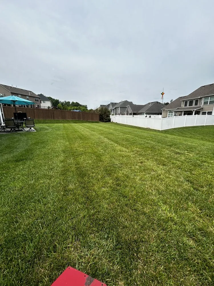 Reliable yard maintenance for year-round maintenance in Farragut, TN by Empire Lawn Care