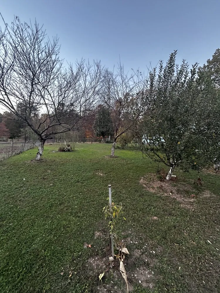 Local residential landscaping in Farragut, TN - Empire Lawn Care