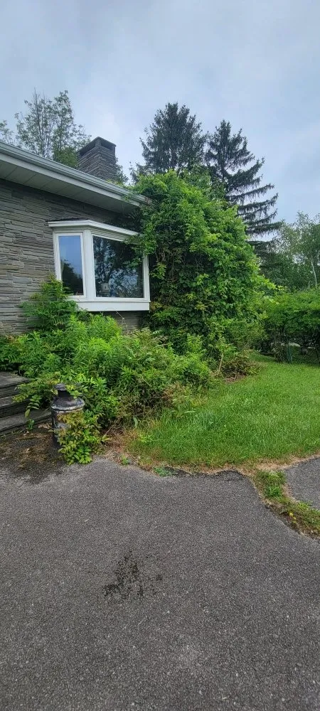 Expert yard maintenance in Canandaigua, NY by Empire Lawn Maintenace