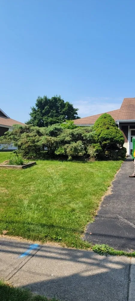 Custom yard cleanup service for homes in Canandaigua, NY by Empire Lawn Maintenace