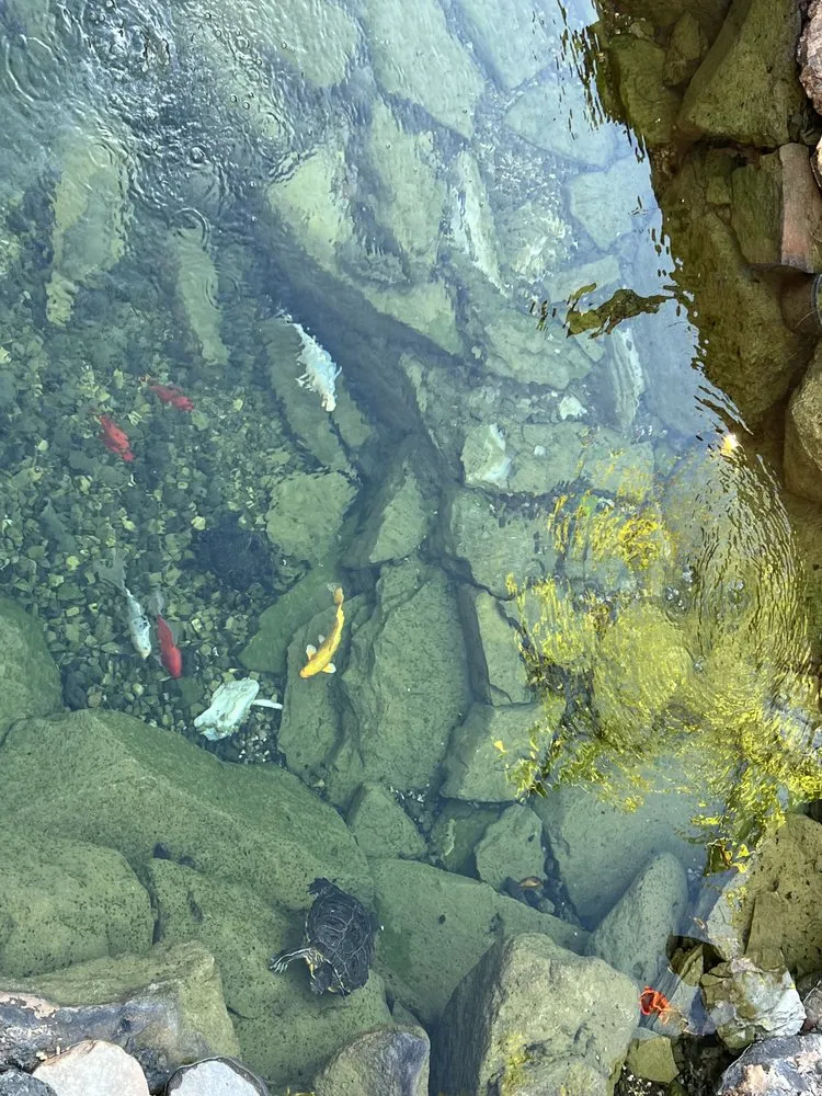 Trusted yard maintenance for year-round maintenance across St. George, UT - Empire Lawncare & Waterscapes