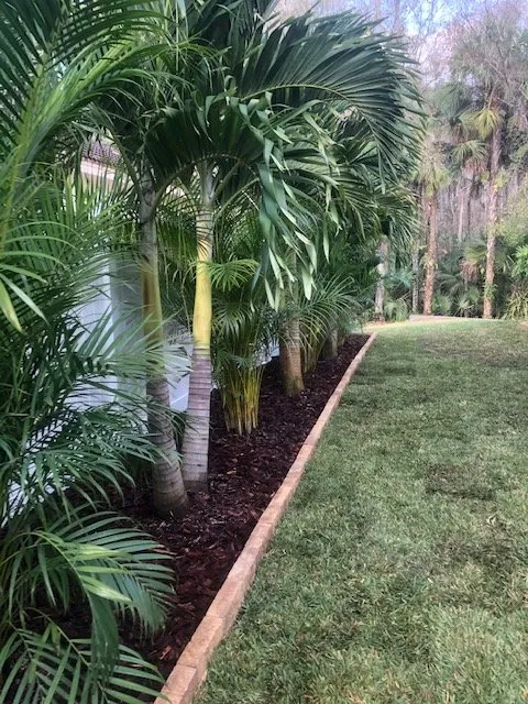 Reliable lawn mowing service in Tampa, FL by Empire Scapes