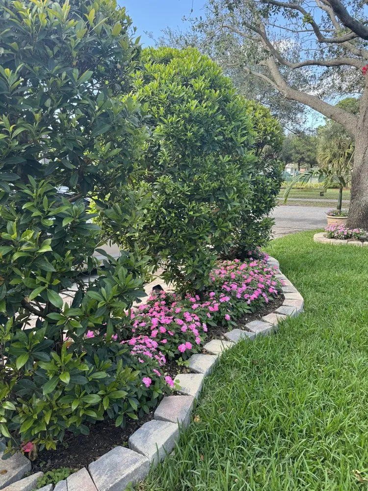 Local outdoor landscaping for residential properties in Pompano Beach, FL by Empire Services Group