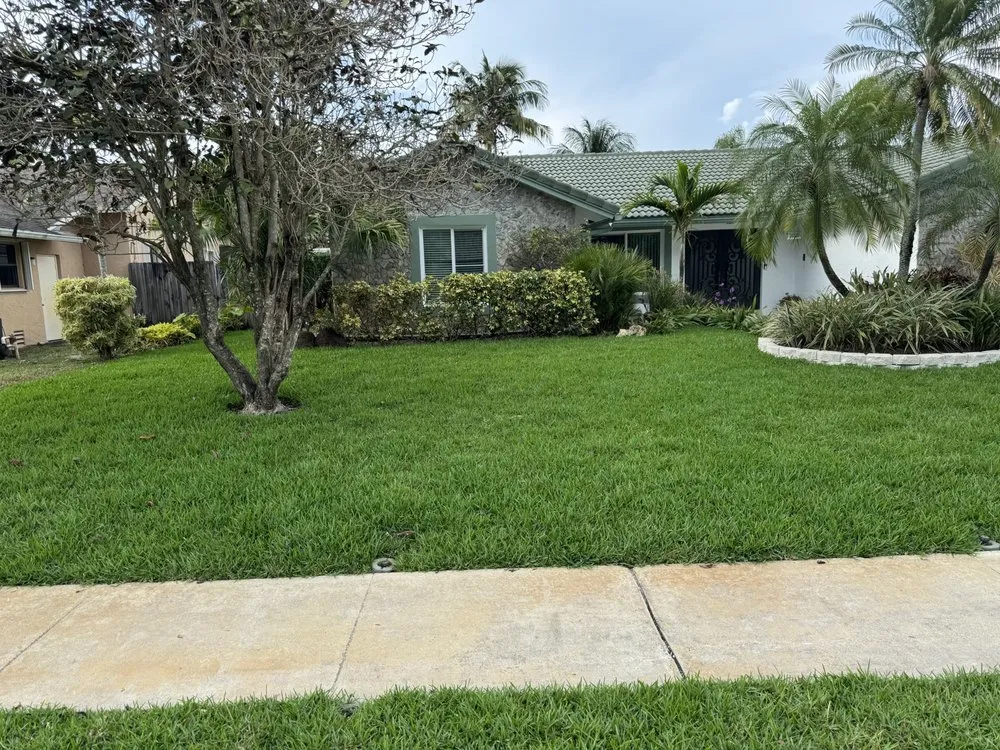Professional landscape installation experts serving Pompano Beach, FL - Empire Services Group