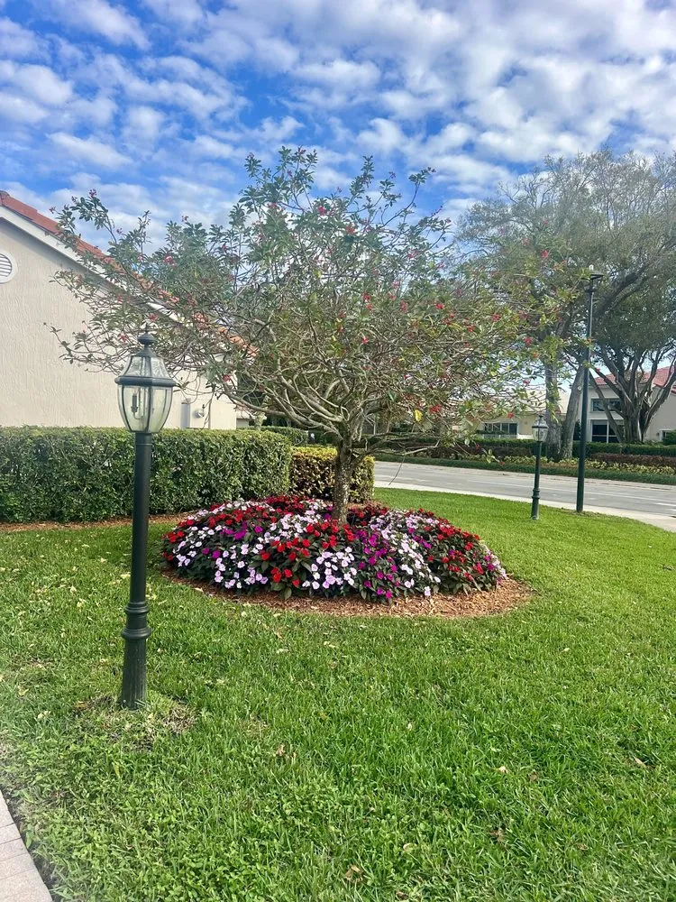 Custom outdoor landscaping in Pompano Beach, FL by Empire Services Group