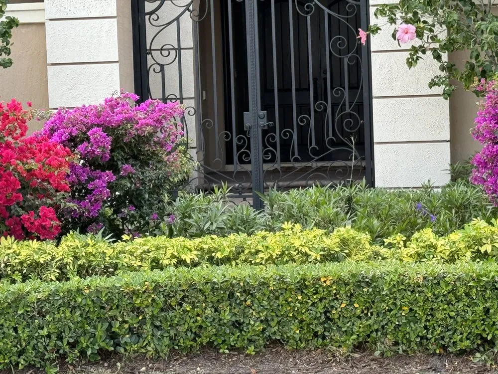 Top-rated lawn mowing service experts serving Pompano Beach, FL - Empire Services Group