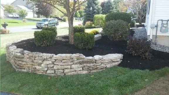 Local yard cleanup service in Albany, NY by Empire State Companies